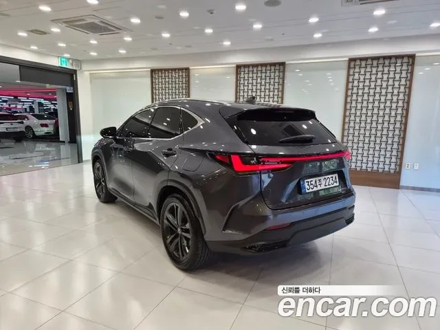 Lexus Nx NX350H, 2026 — фото 2