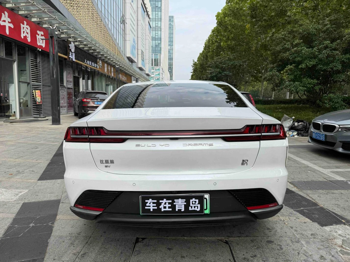 BYD Han EV, 2020 — фото 14