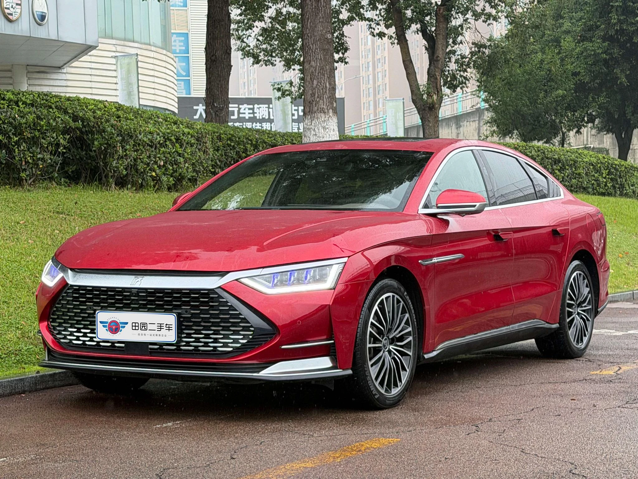 BYD Chinese DM