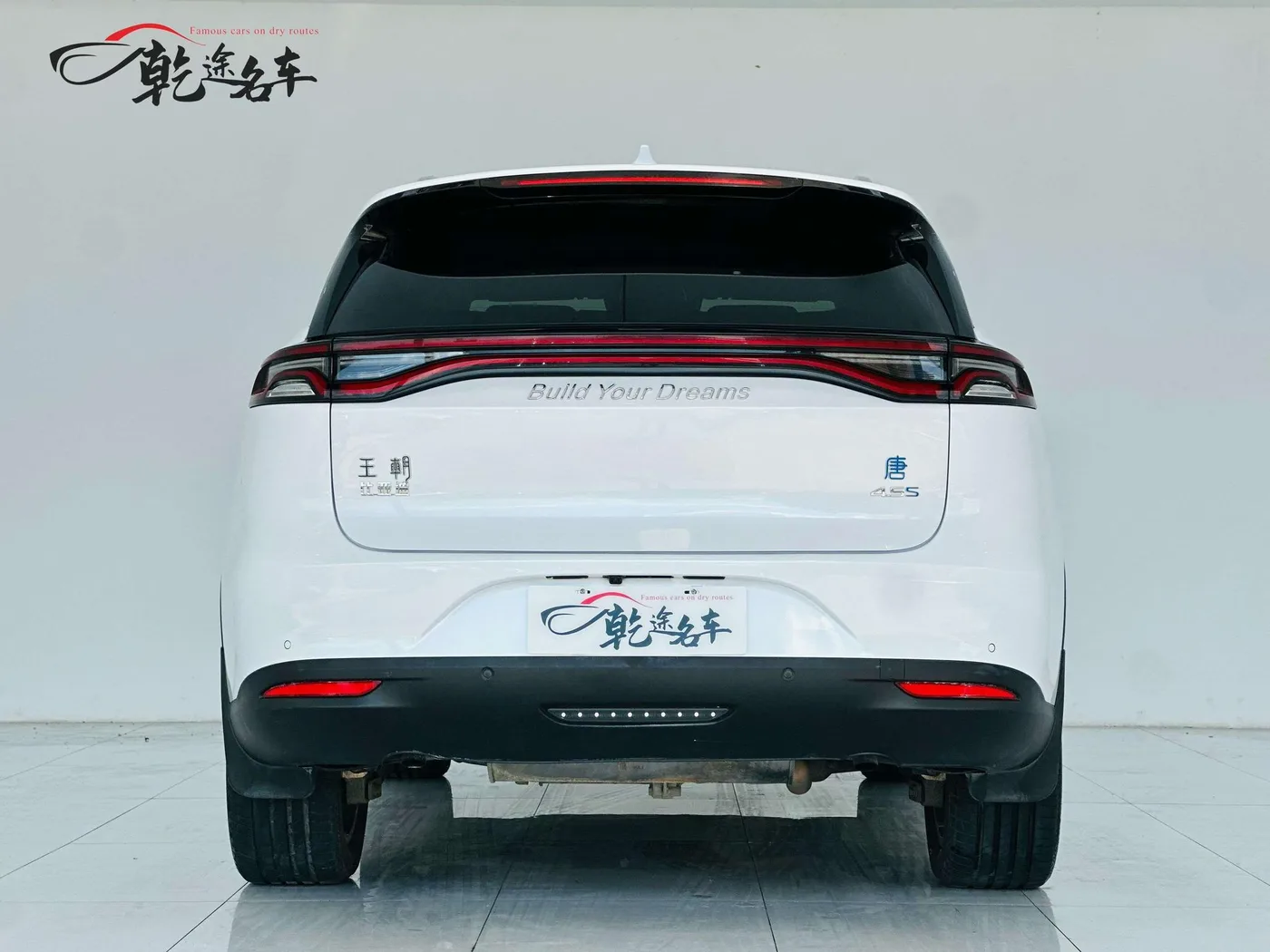 BYD Tang DM, 2018 — фото 6