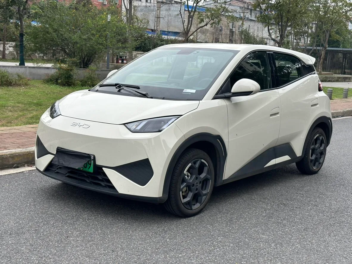 BYD seagull