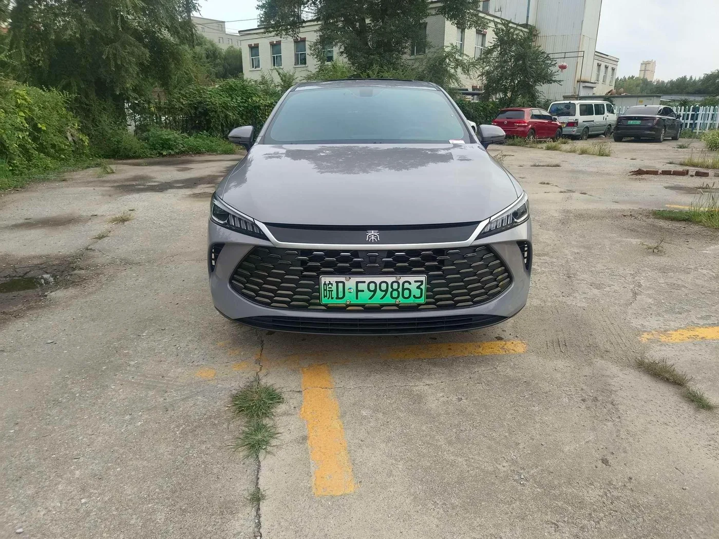 BYD Qin PLUS DM, 2026 — фото 2