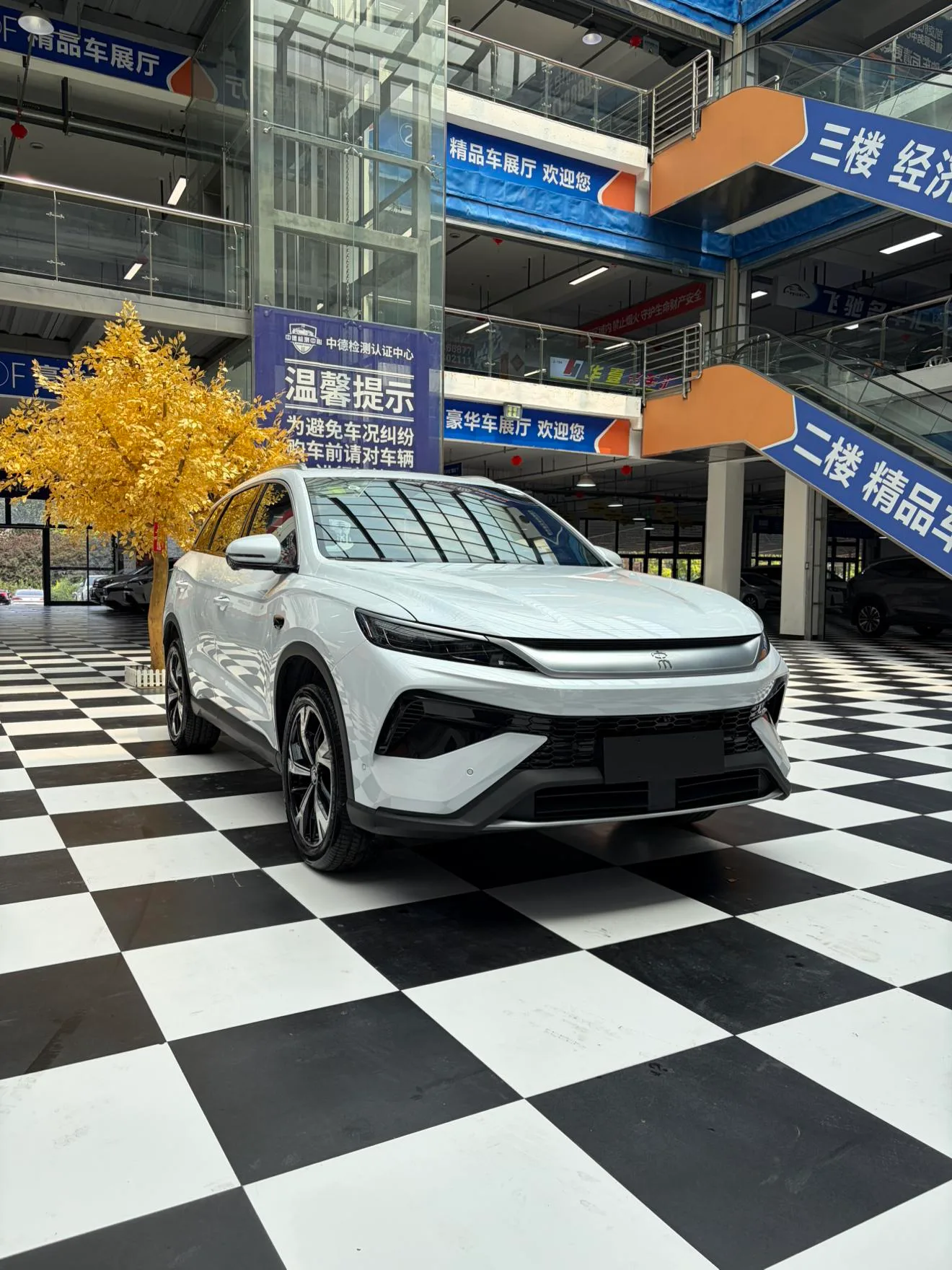 BYD Song Pro DM, 2026 — фото 3