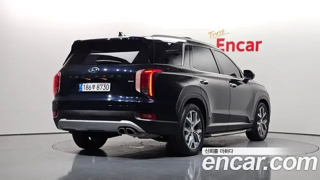 Hyundai Palisade, 2019 — фото 2