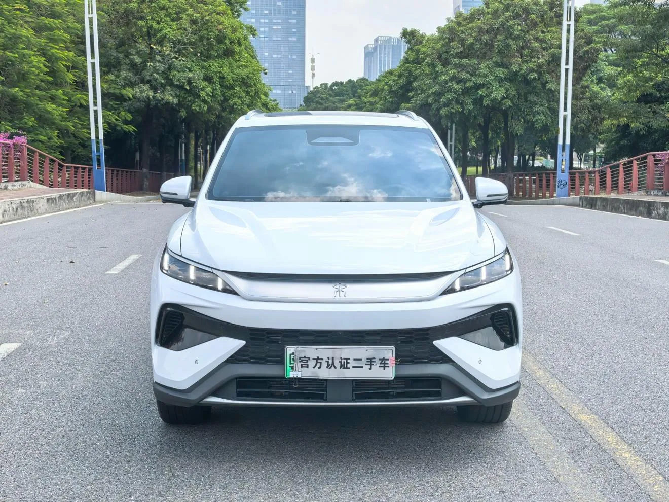 BYD Song Pro DM, 2026 — фото 2
