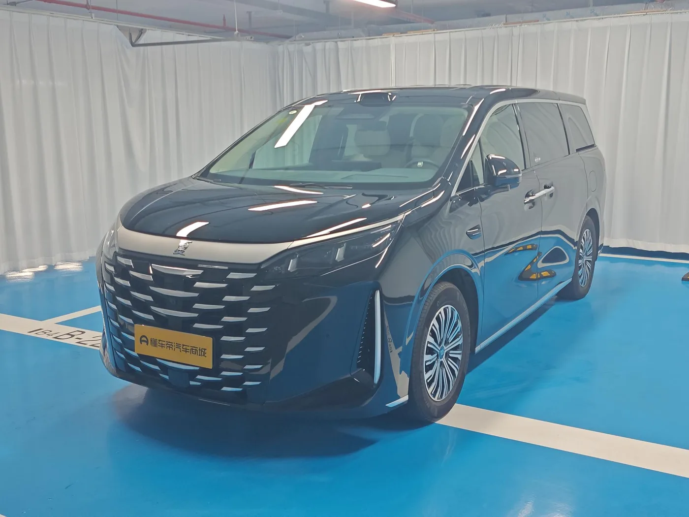 BYD summer