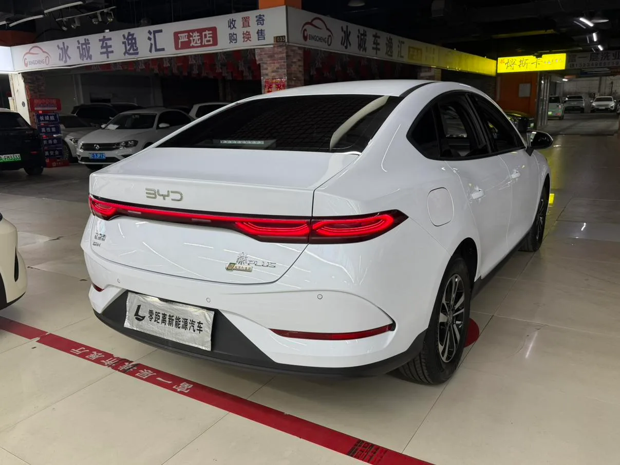 BYD Qin PLUS DM, 2026 — фото 6