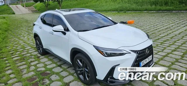 Lexus Nx NX350H, 2026 — фото 8