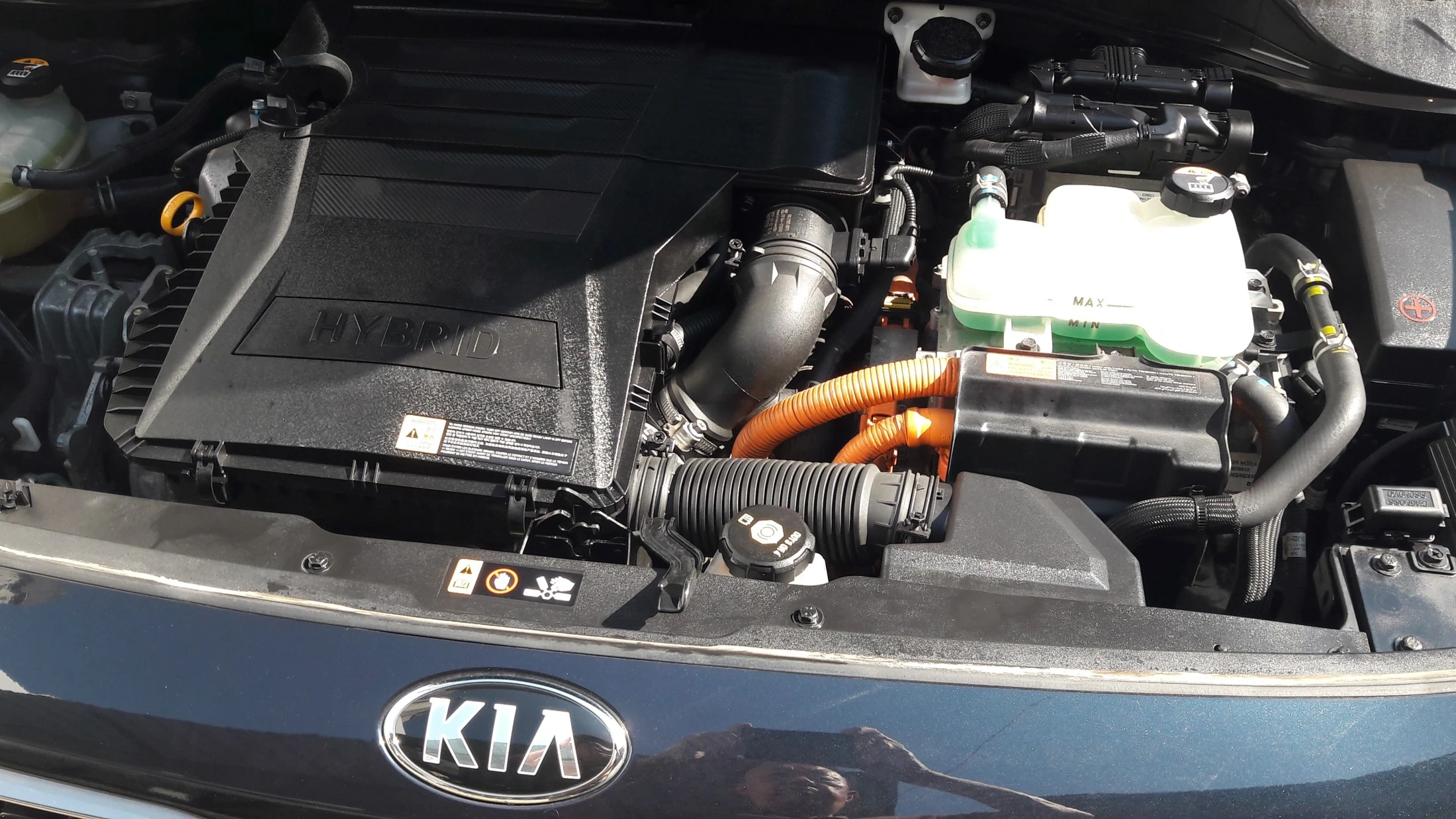Kia Niro, 2017 — фото 20