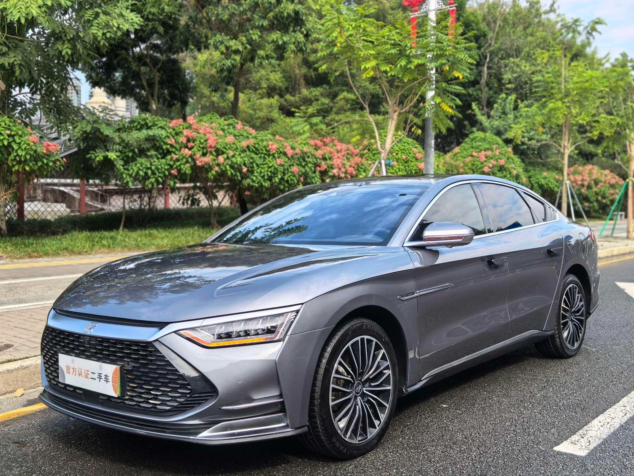 BYD Chinese DM