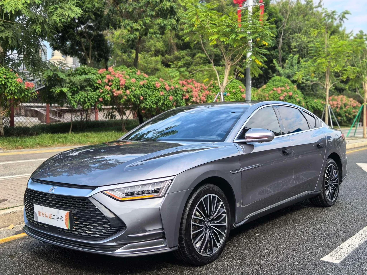 BYD Chinese DM