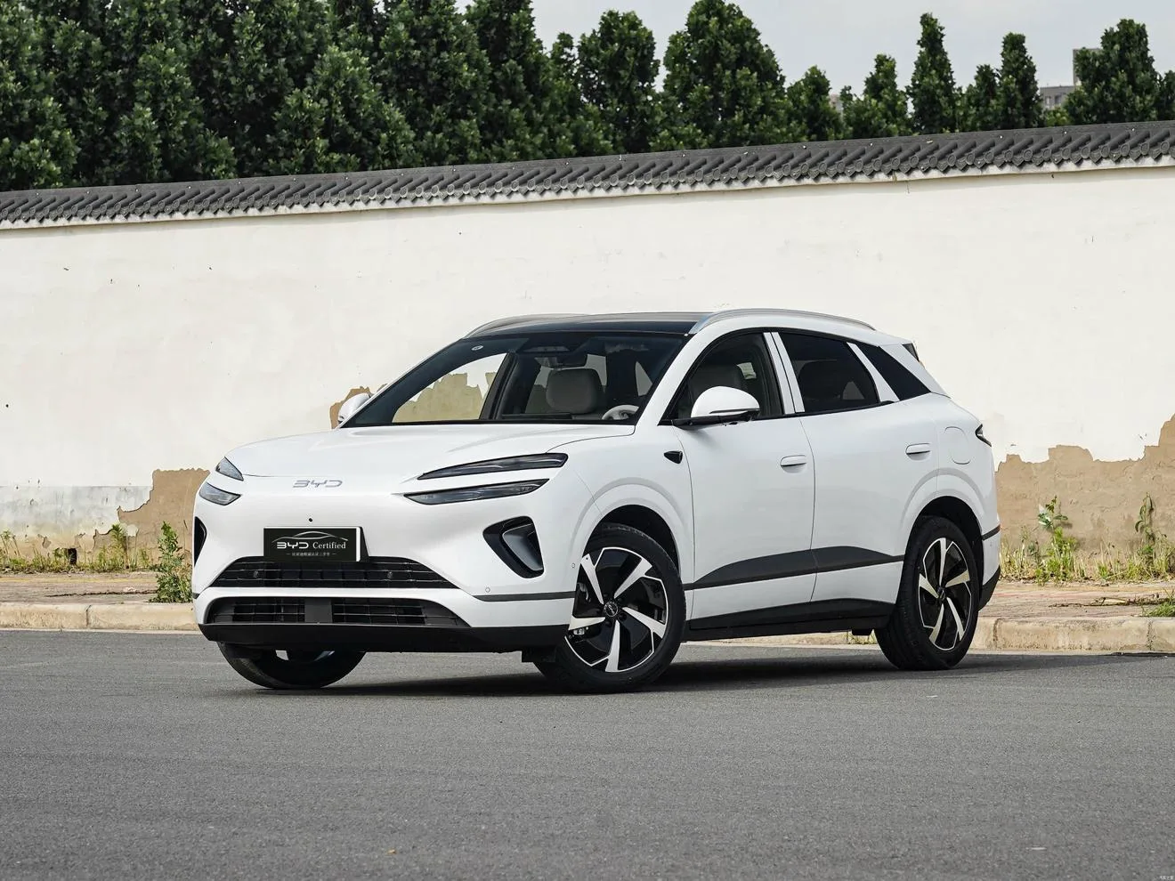BYD Sea Lion 06DM