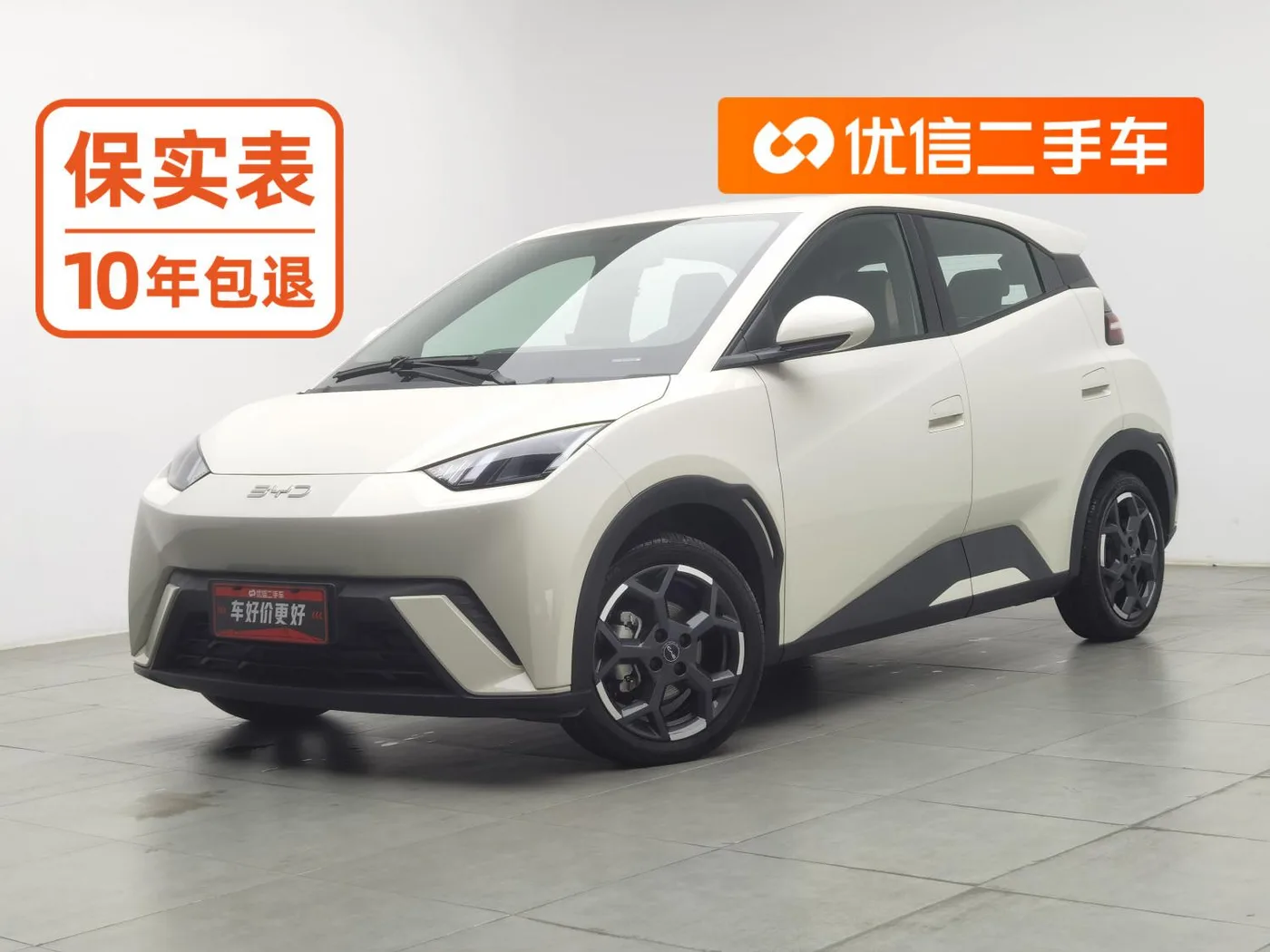 BYD seagull