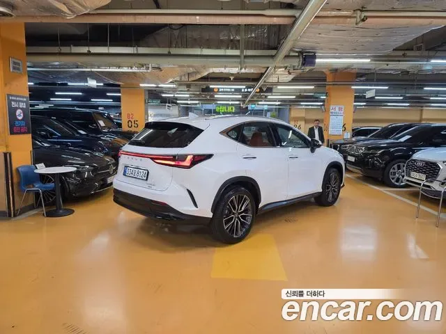 Lexus Nx NX350H, 2026 — фото 2