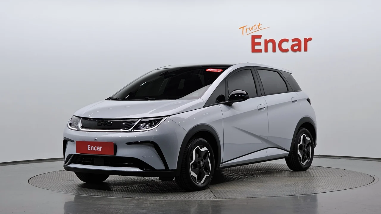 BYD Dolphin