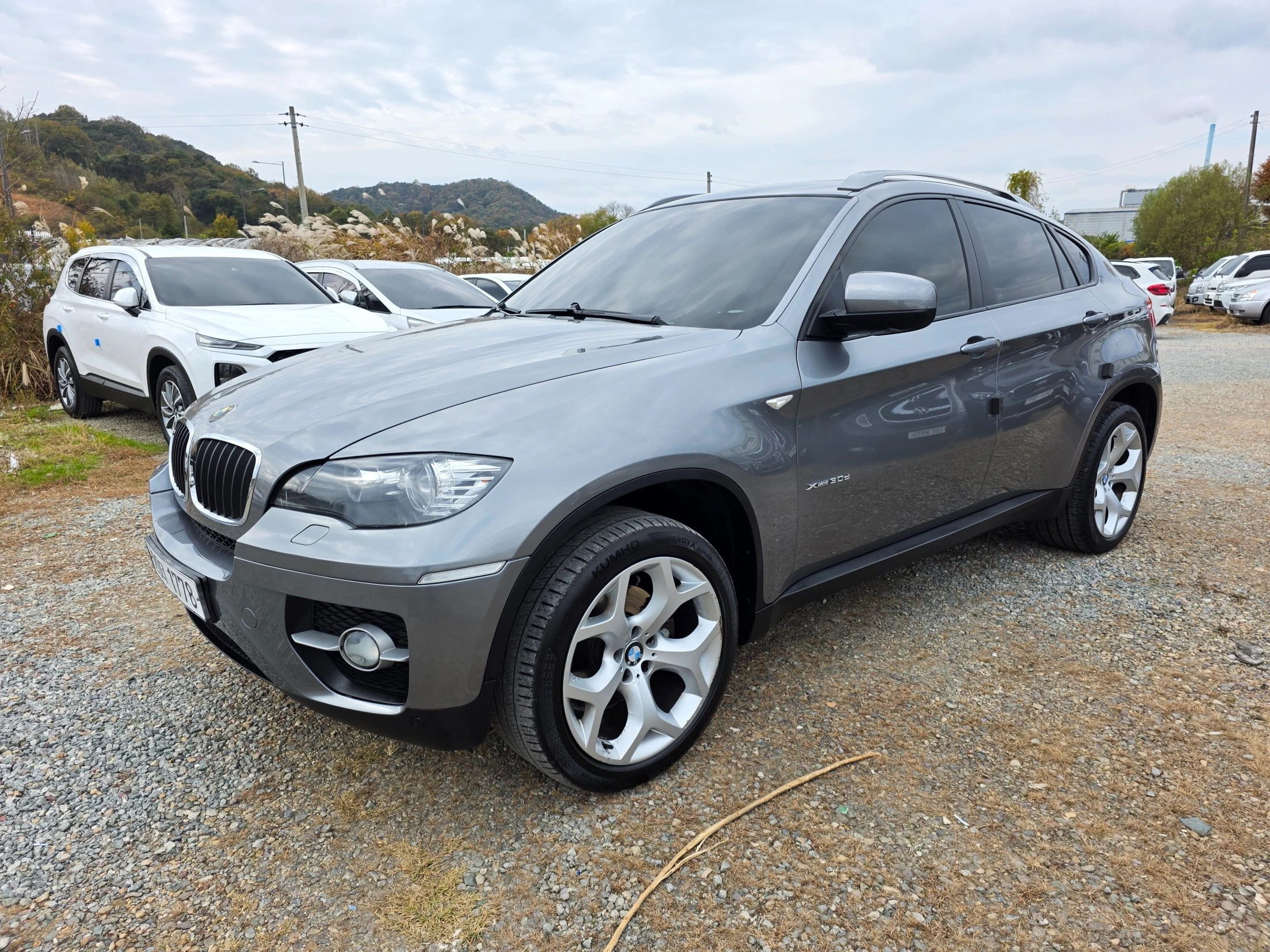 BMW X6 E71