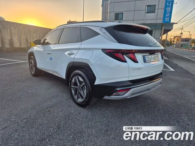 Hyundai Tucson NX4, 2024 — фото 6