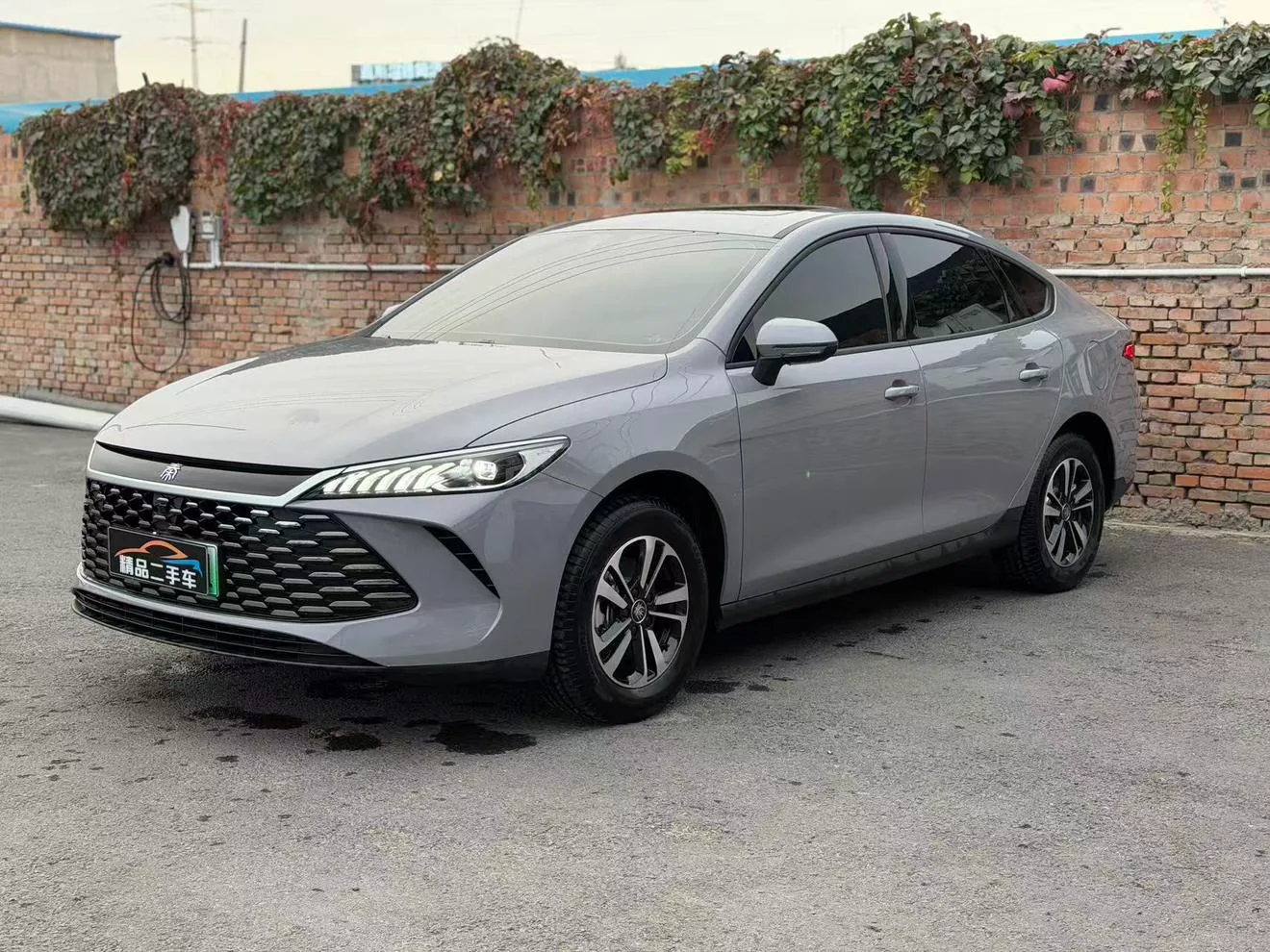 BYD Qin PLUS DM