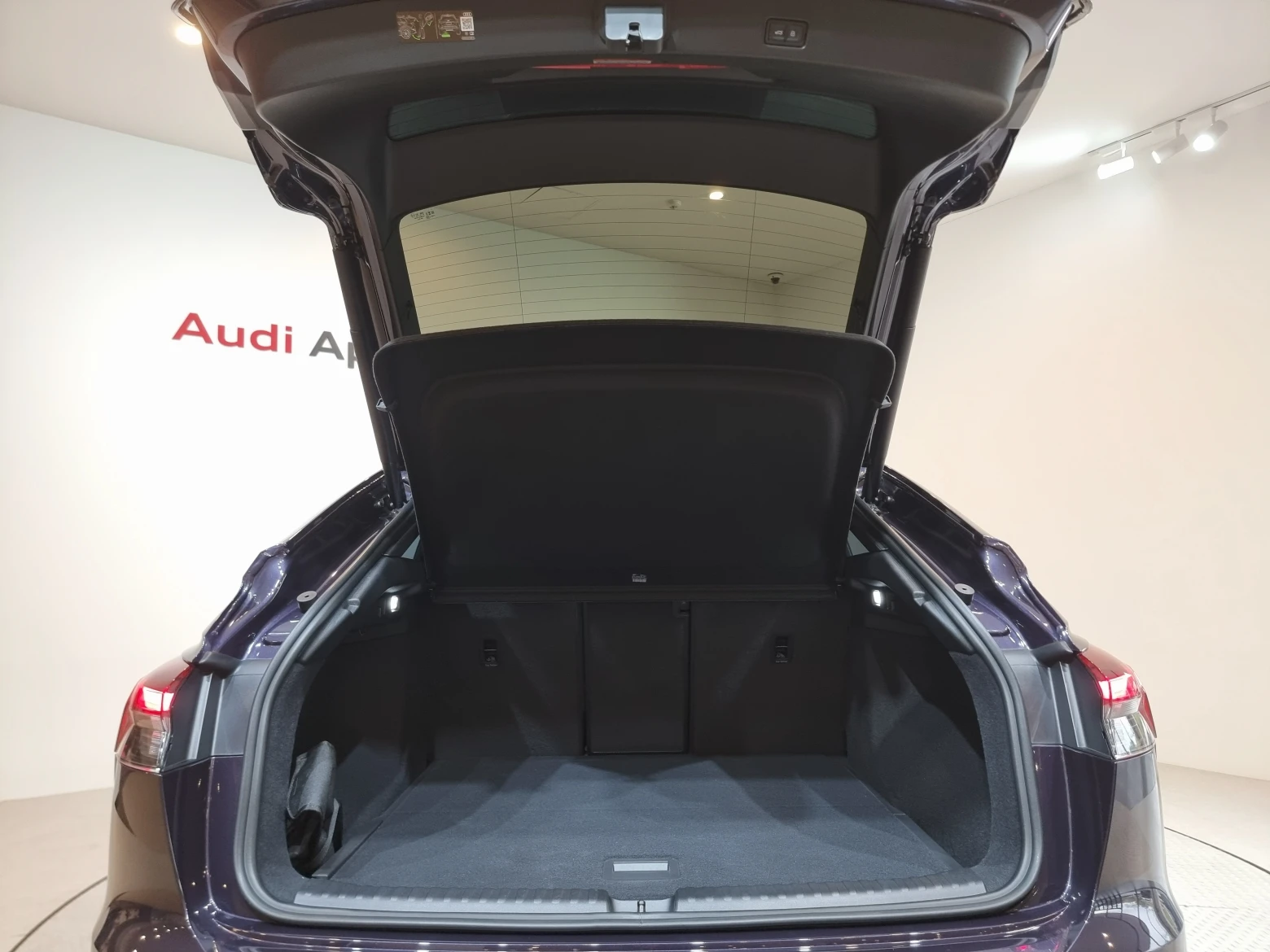 Audi Q4 E-Tron F4, 2026 — фото 20