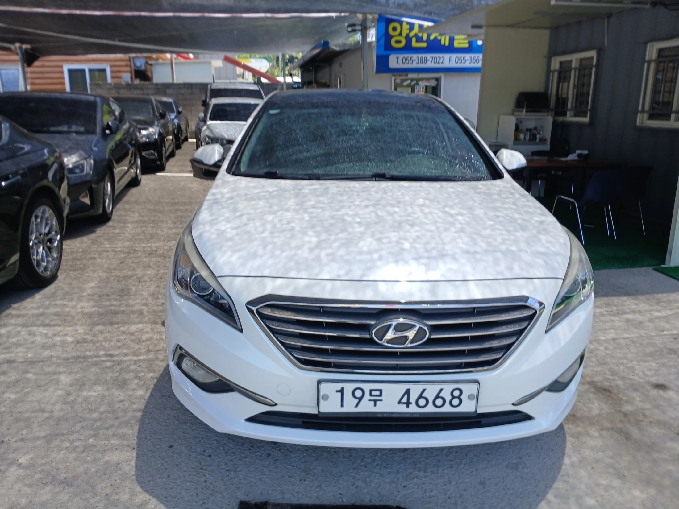Hyundai Sonata LF Sonata, 2014 — фото 3