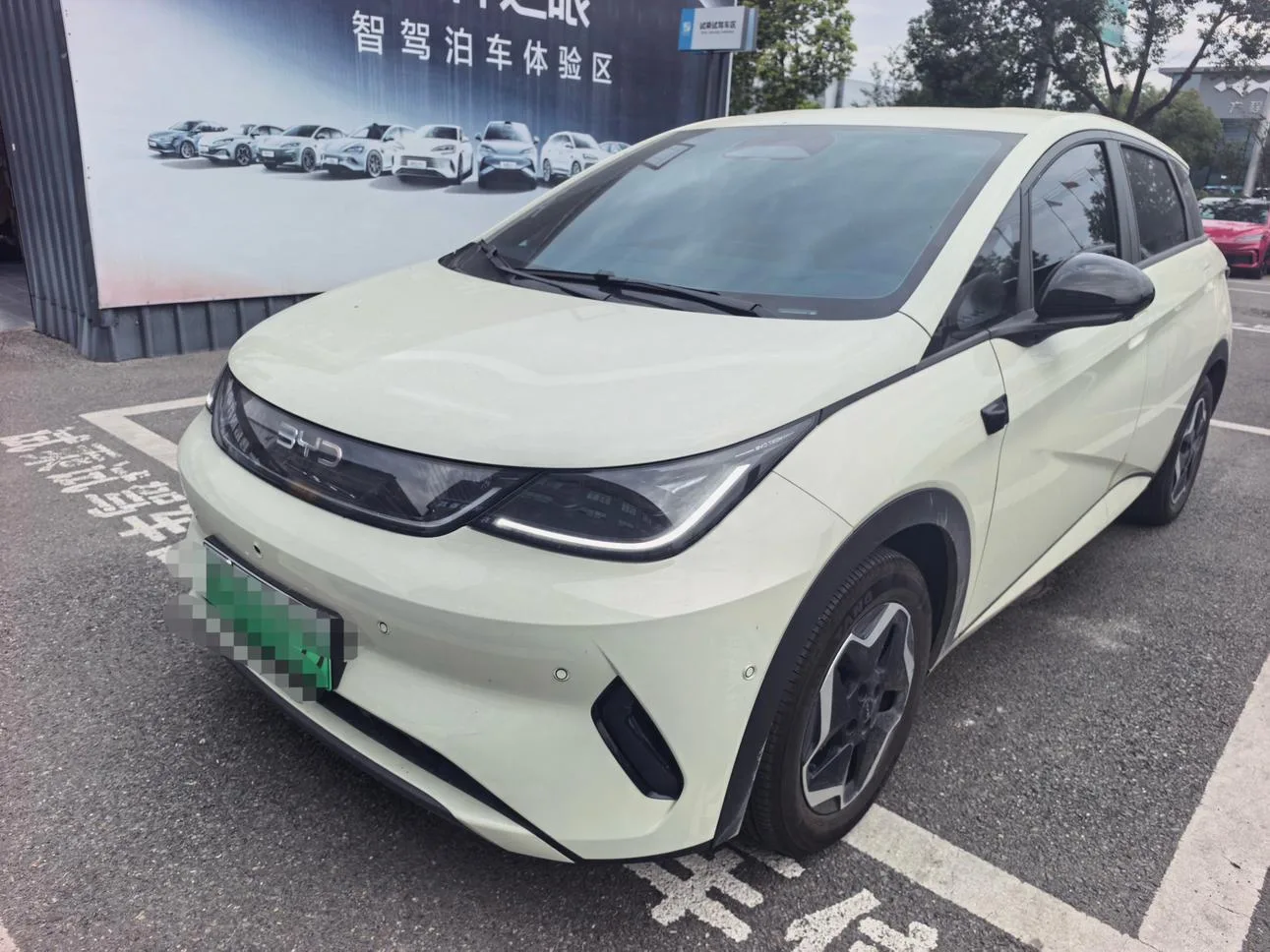 BYD dolphin