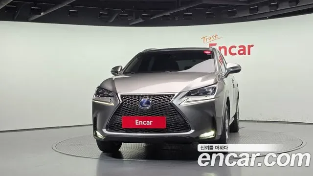 Lexus Nx NX300h, 2016 — фото 3
