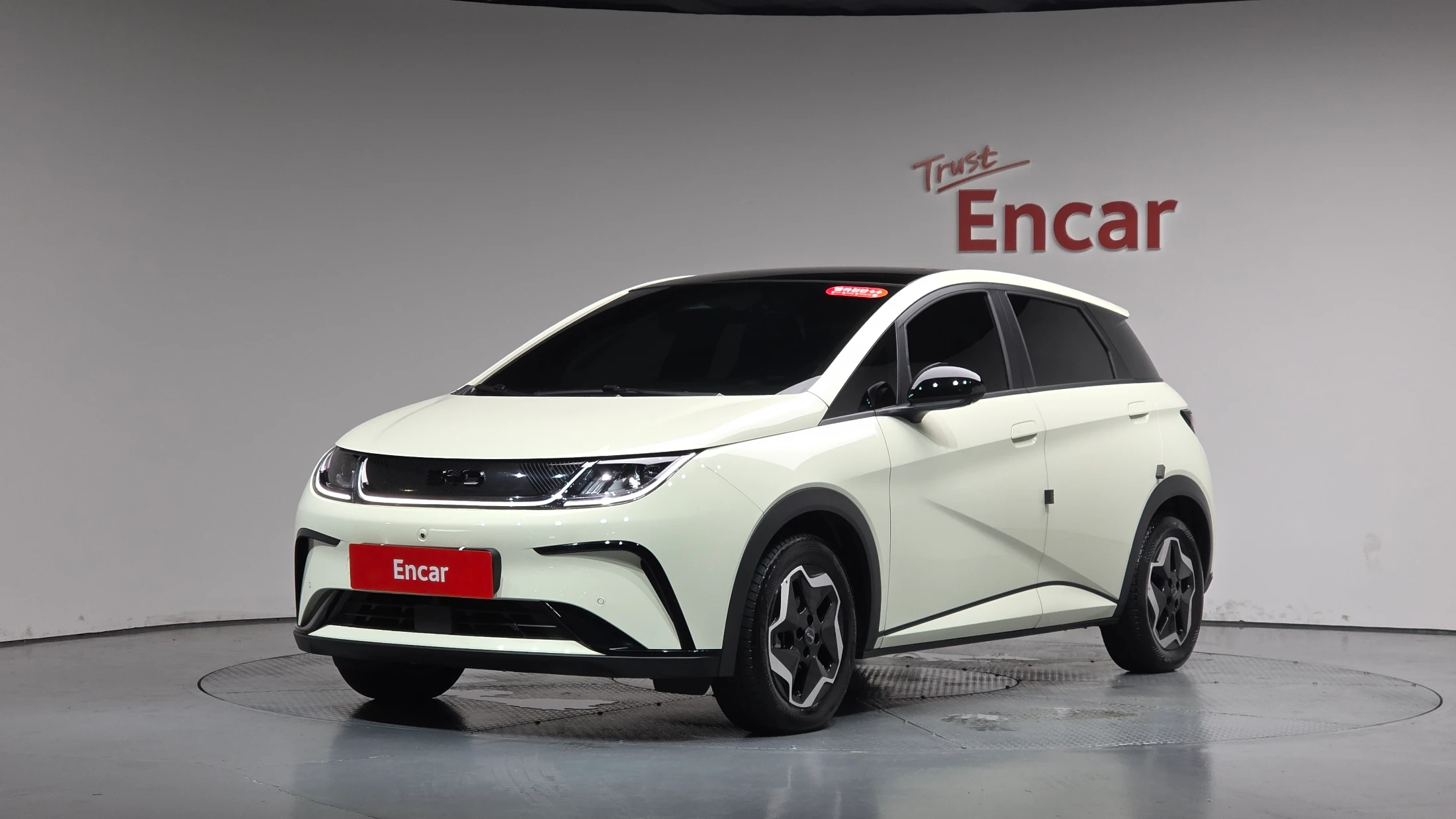 BYD Dolphin