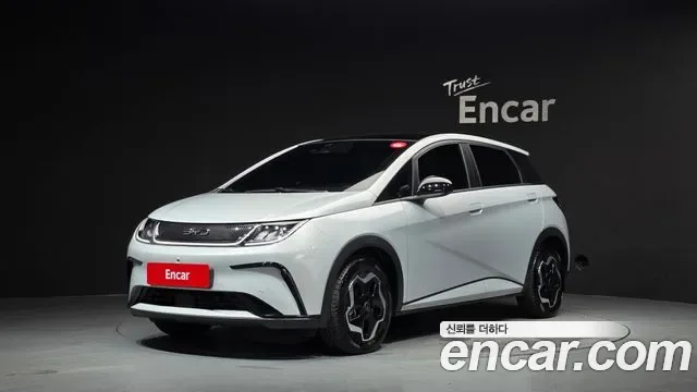 BYD Dolphin