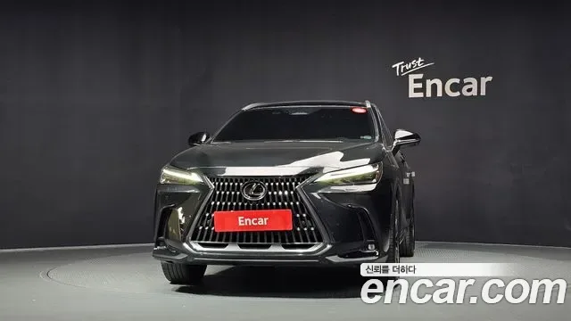 Lexus Nx350h, 2025 — фото 2