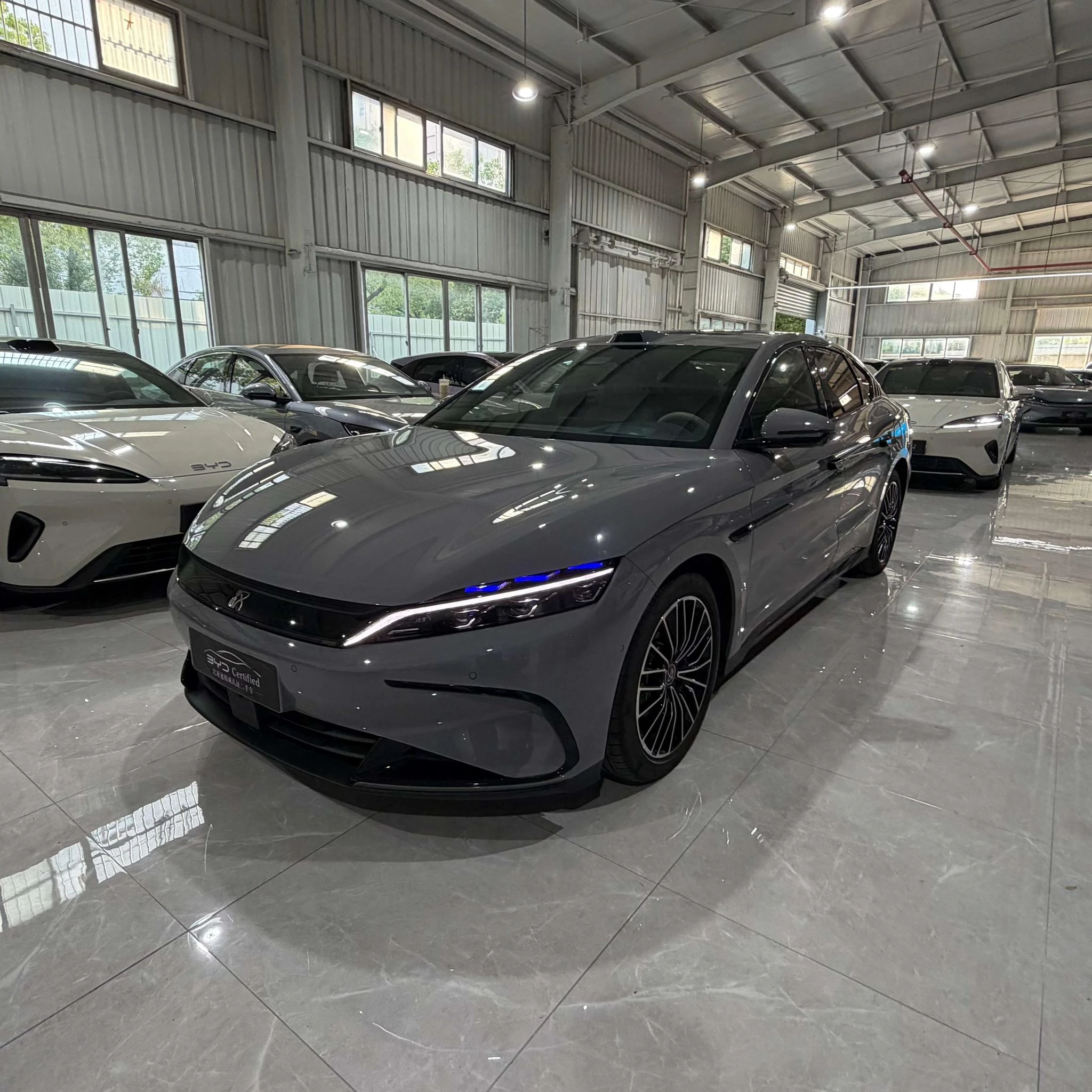 BYD Chinese DM