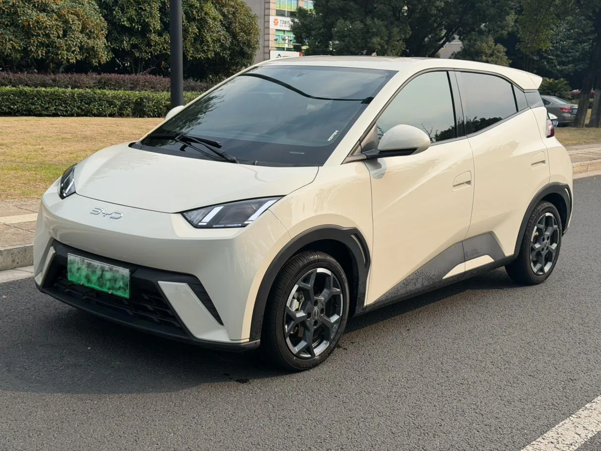 BYD seagull