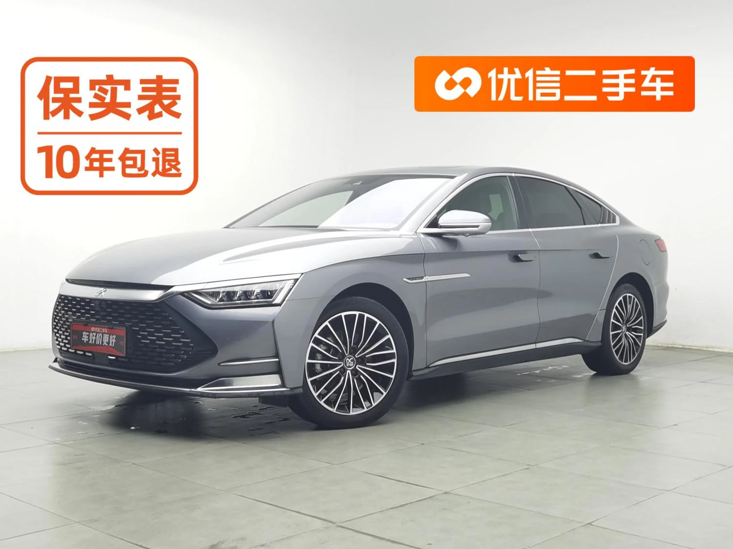 BYD Chinese DM