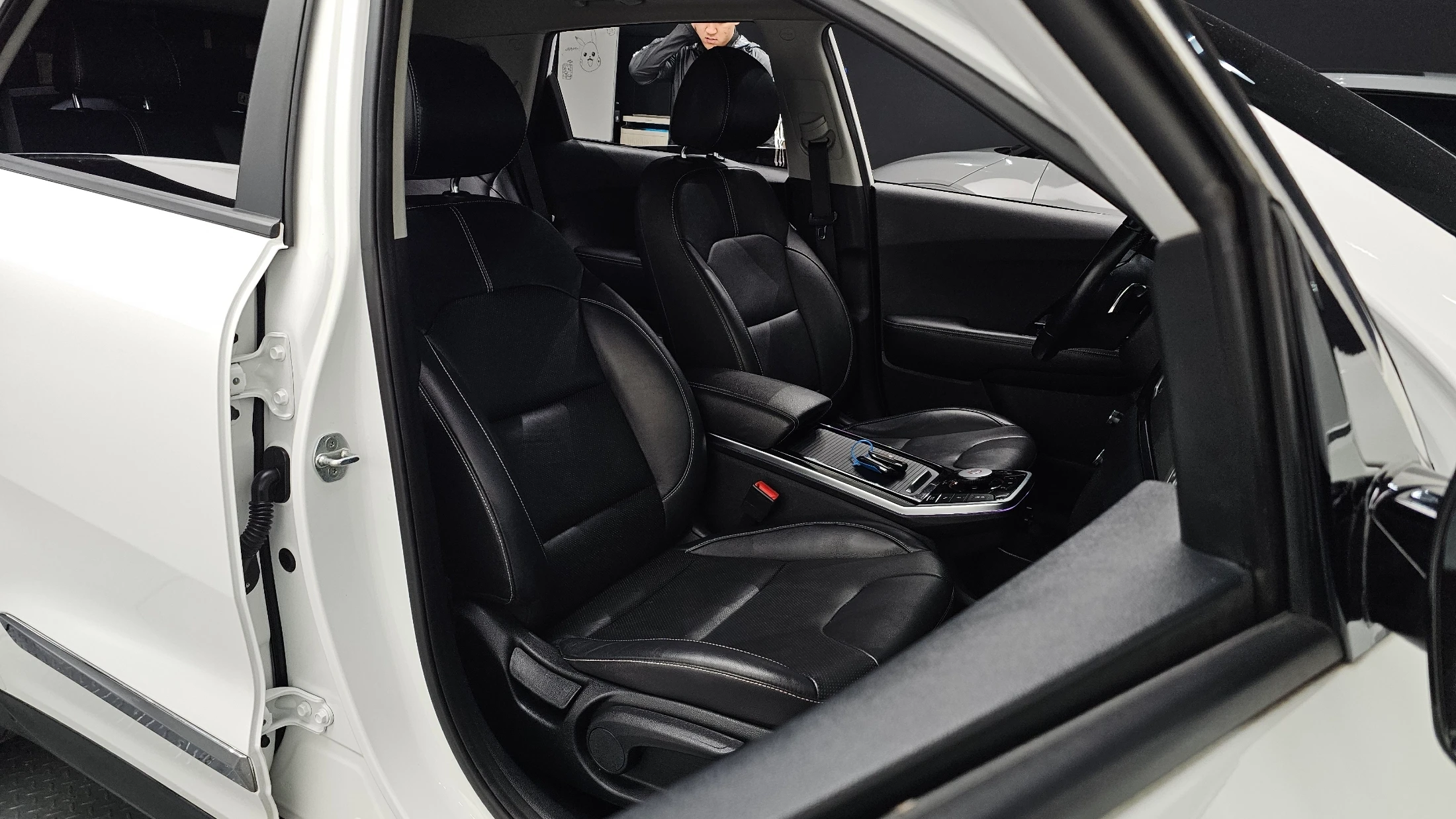 Kia Niro EV, 2020 — фото 10