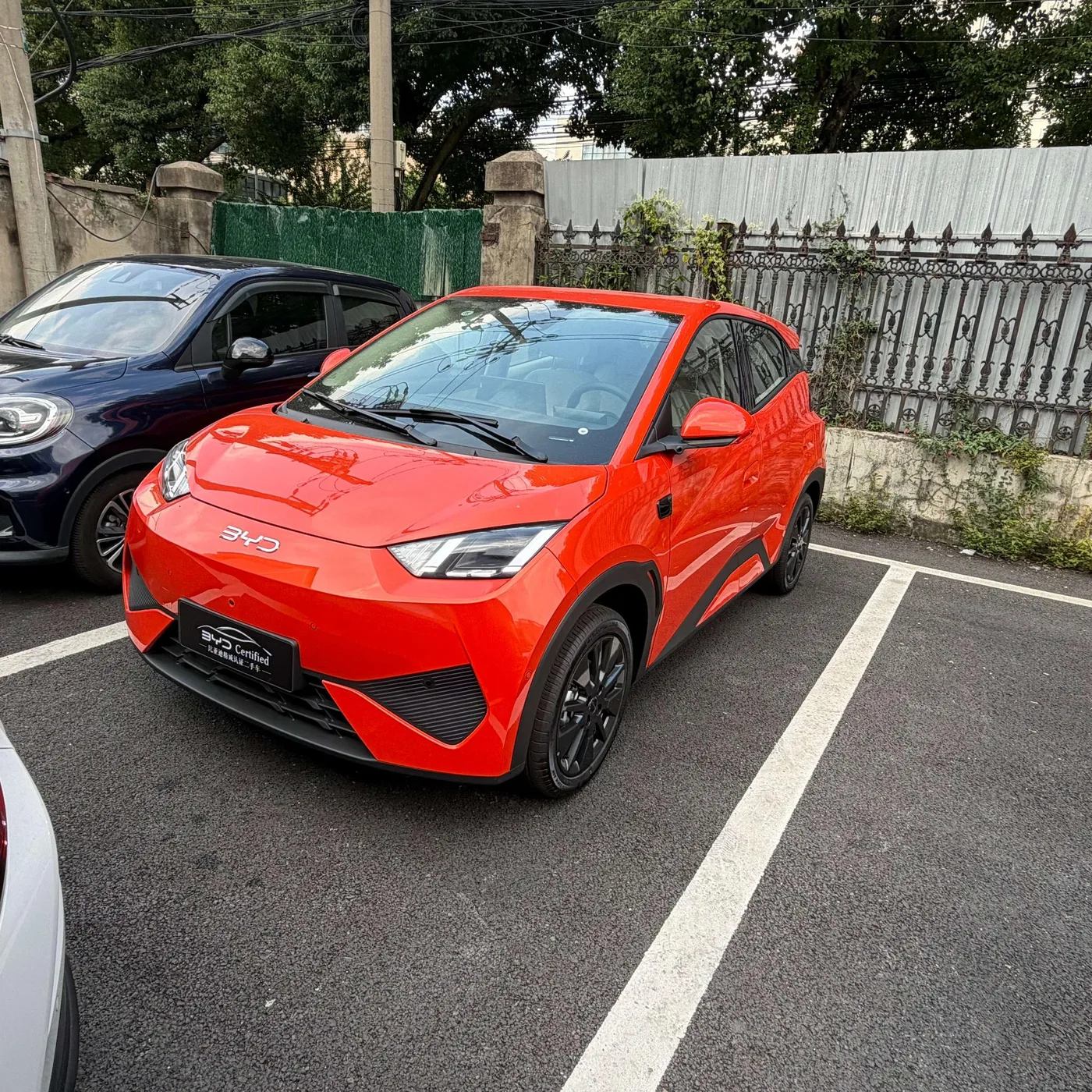 BYD seagull