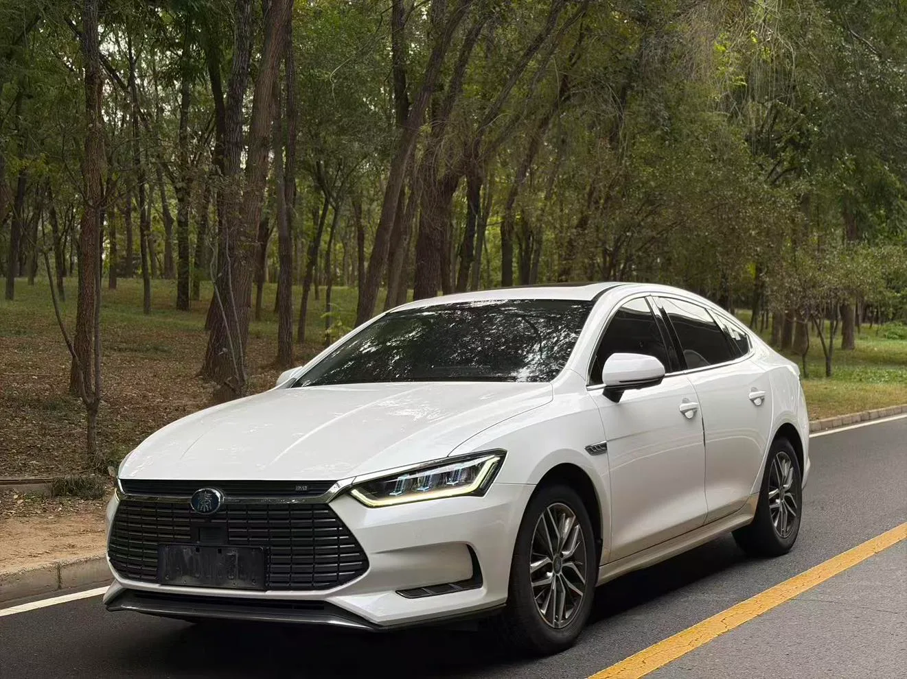 BYD Qin Pro EV