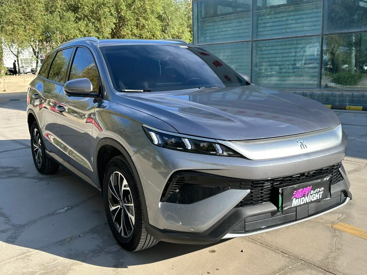 BYD Song Pro DM, 2026 — фото 3