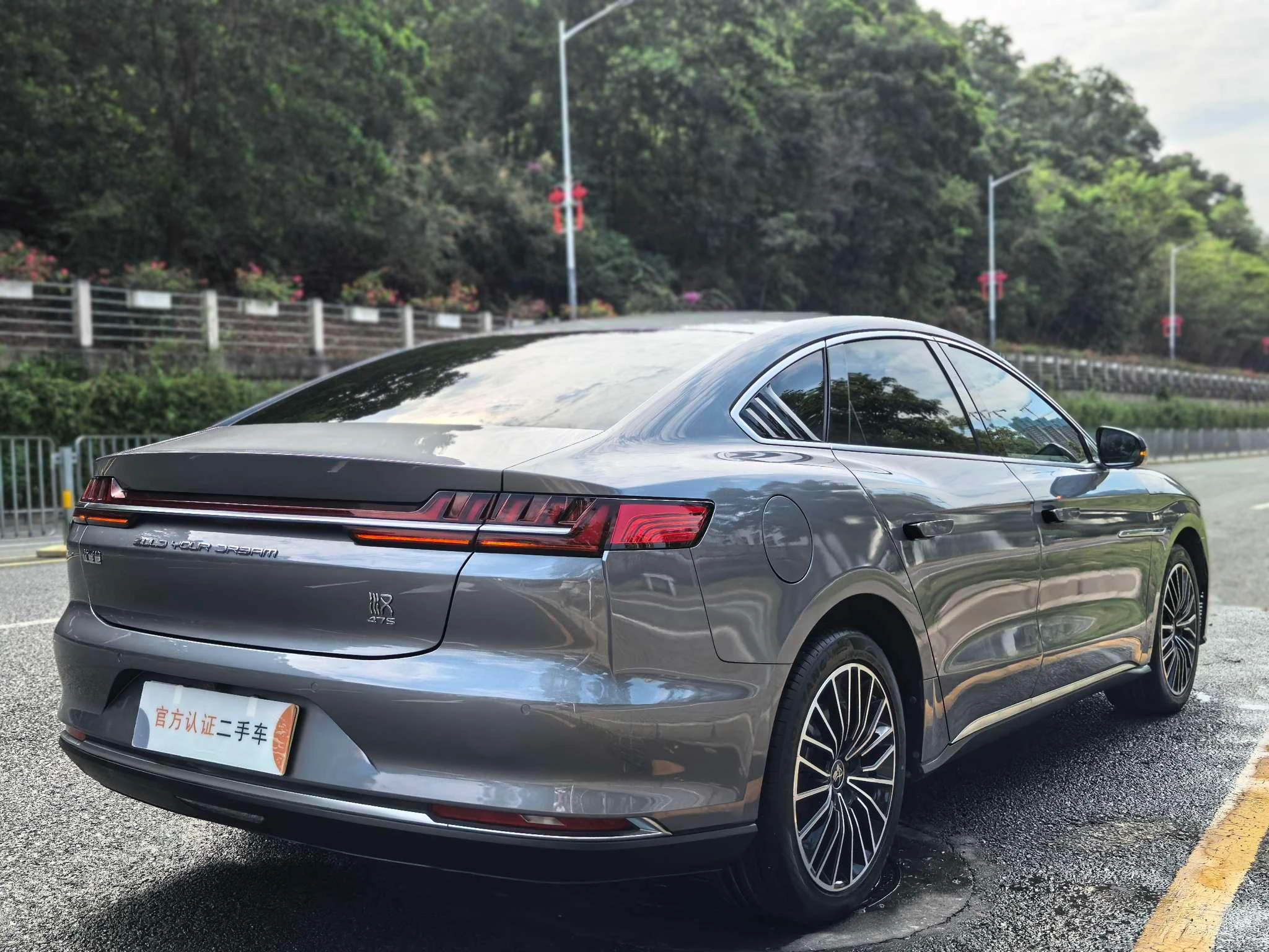 BYD Chinese DM, 2020 — фото 10