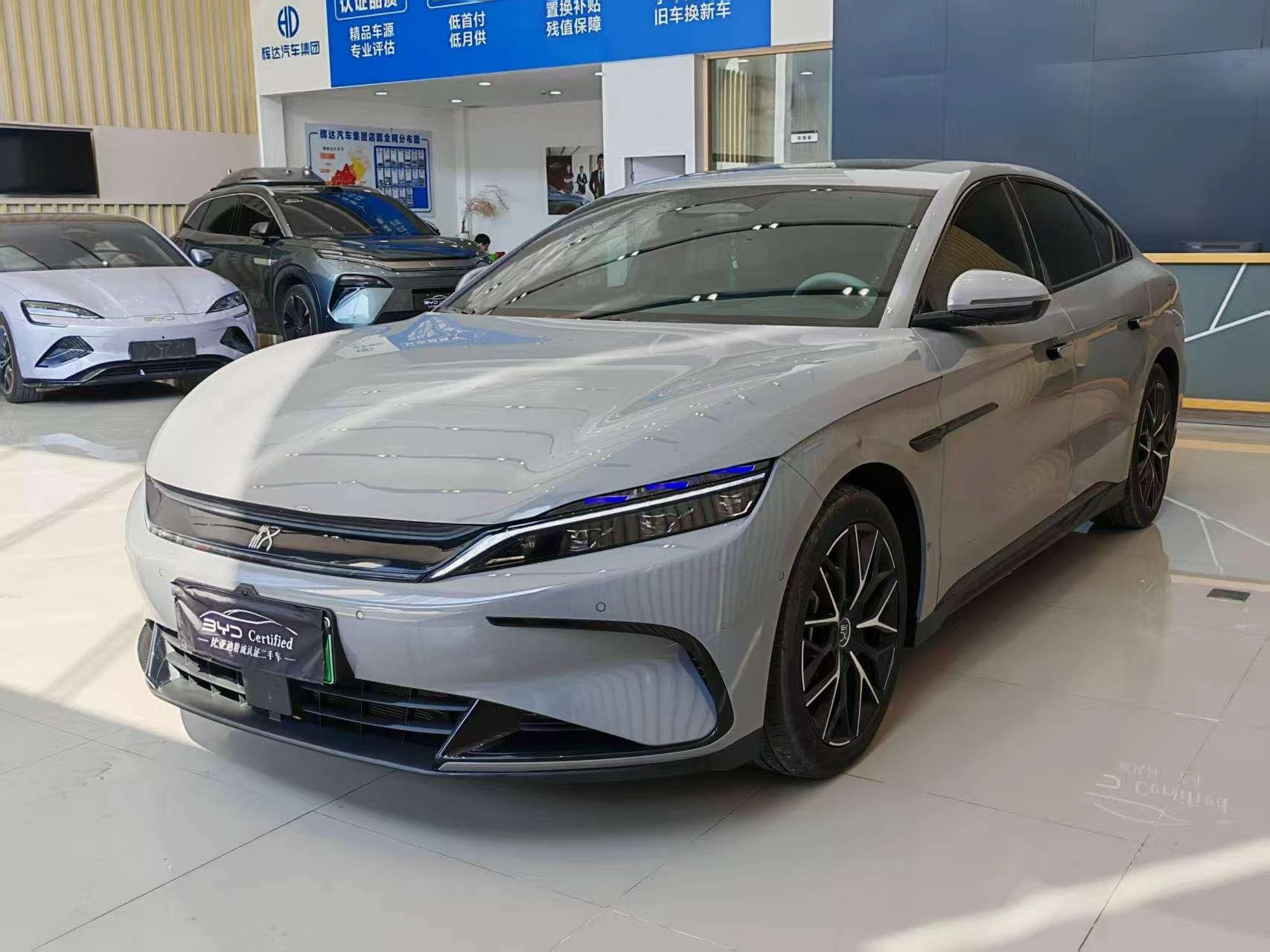 BYD Chinese DM