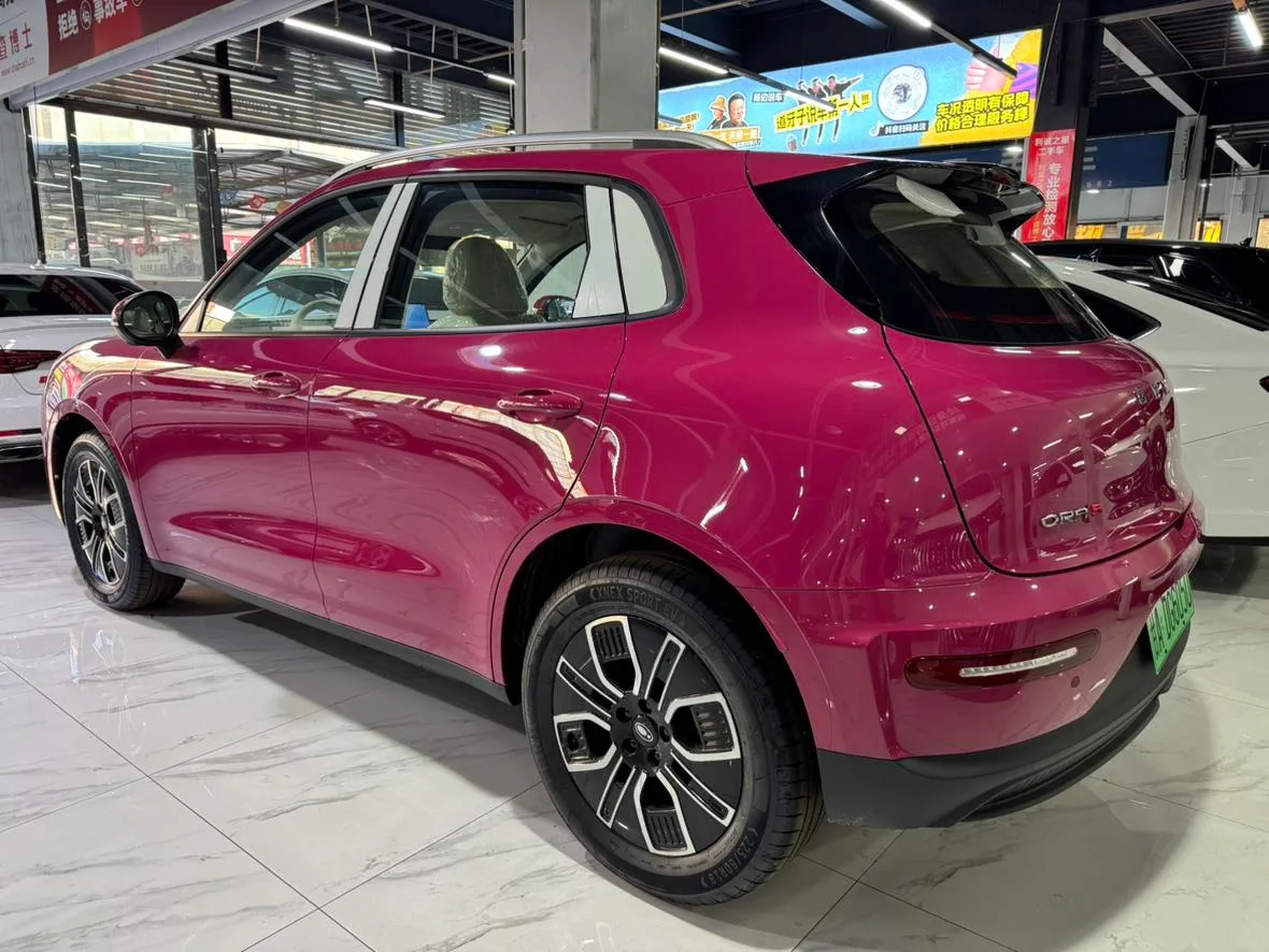 Euler 5SUV pure electric version, 2026 — фото 6