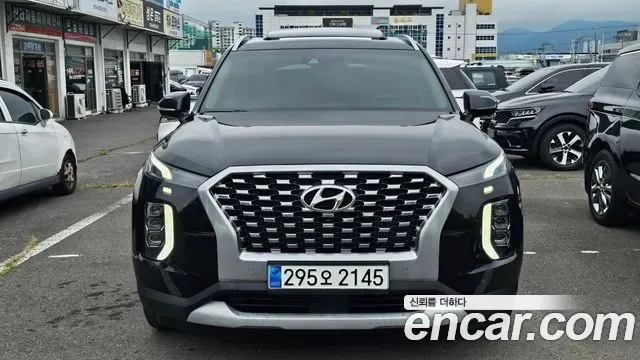 Hyundai Palisade, 2019 — фото 3