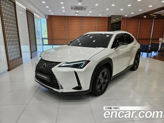 Lexus Ux UX300h