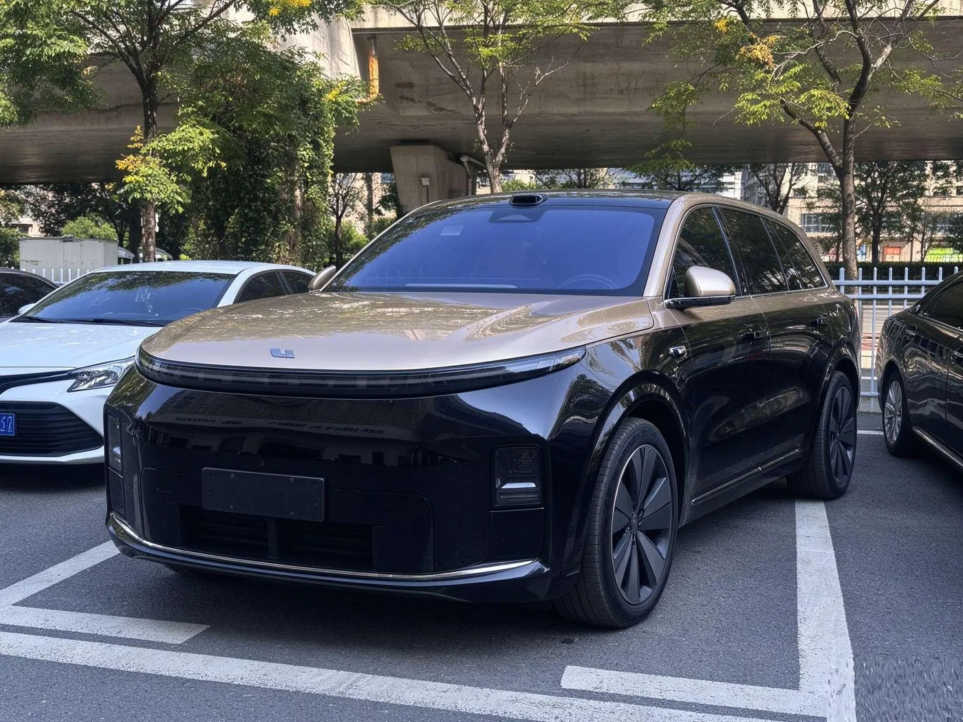 Li Auto Ideal L9
