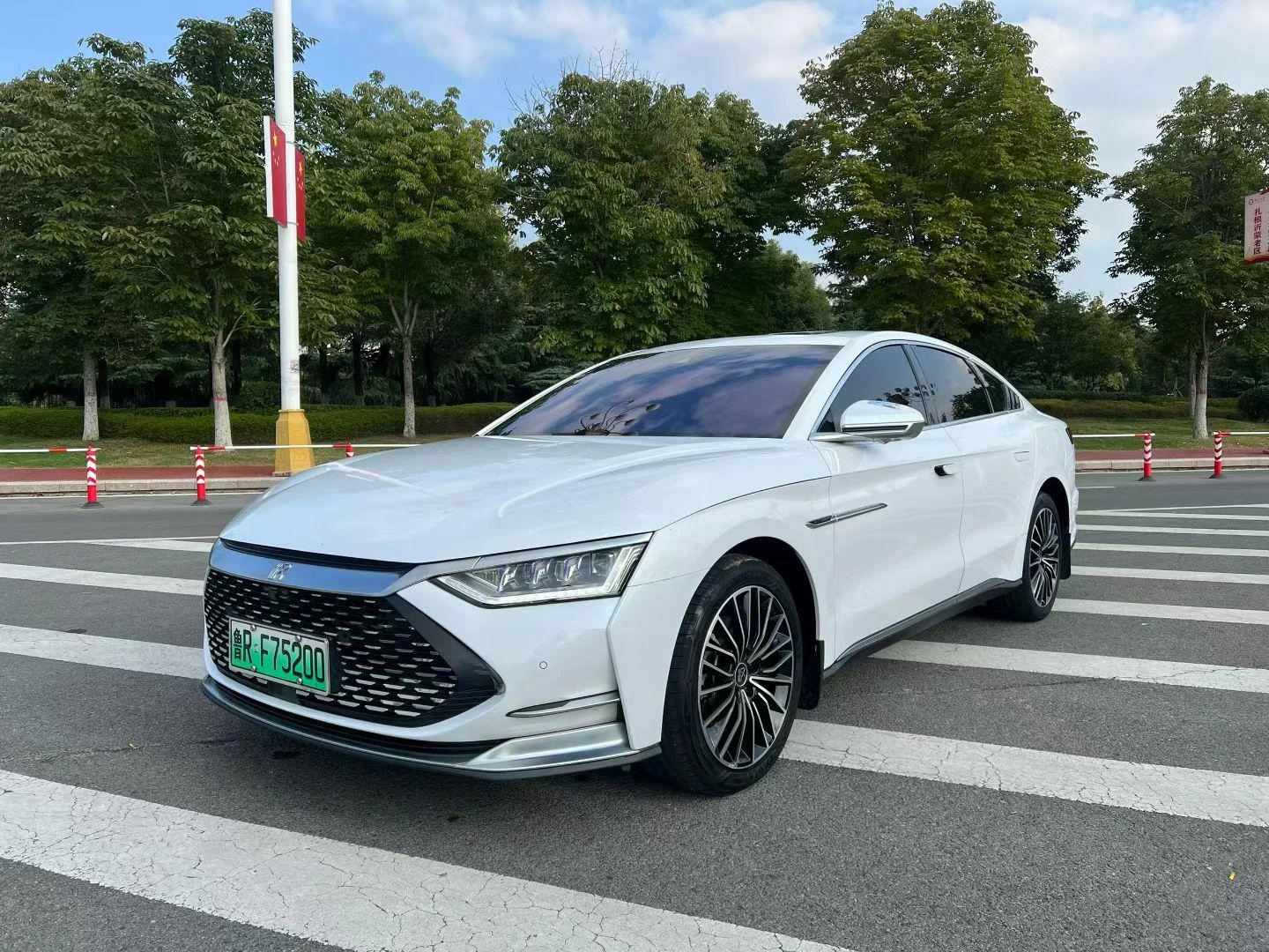 BYD Chinese DM