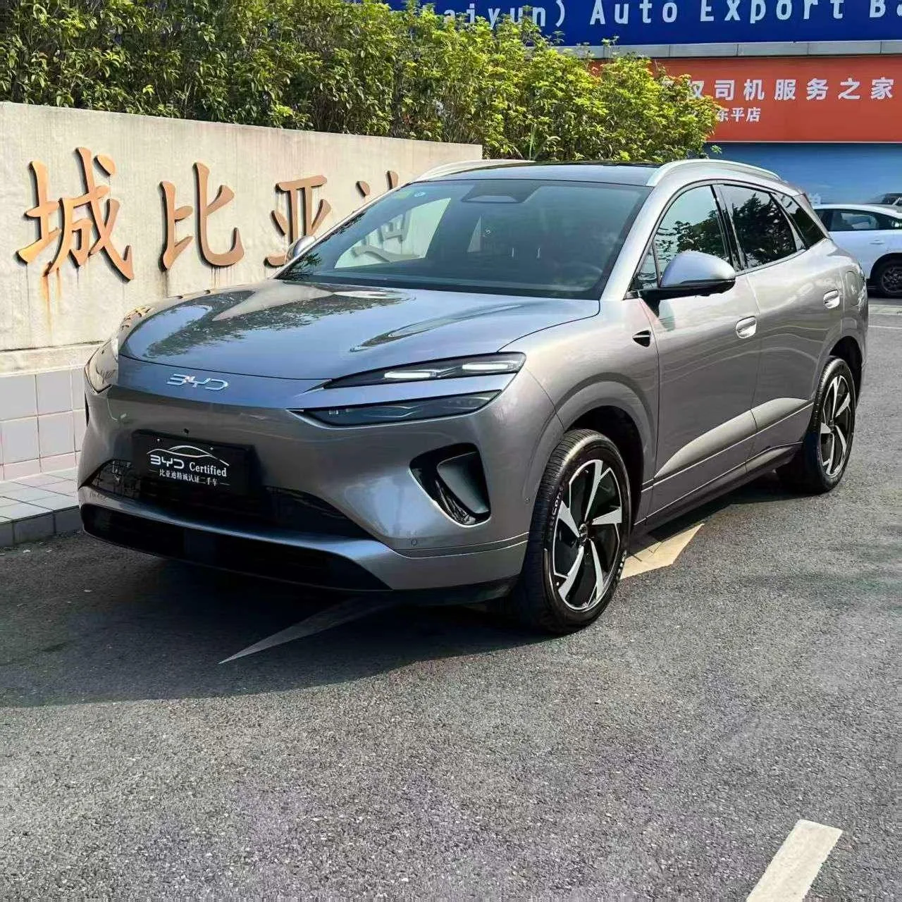 BYD Sea Lion 06DM