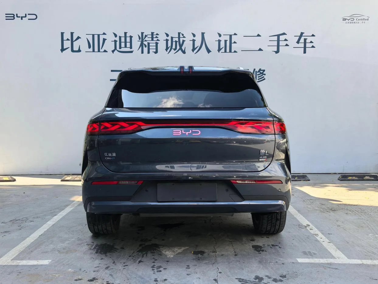 BYD Tang L DM, 2025 — фото 4