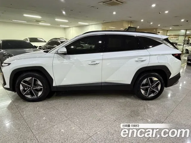 Hyundai Tucson NX4, 2024 — фото 3