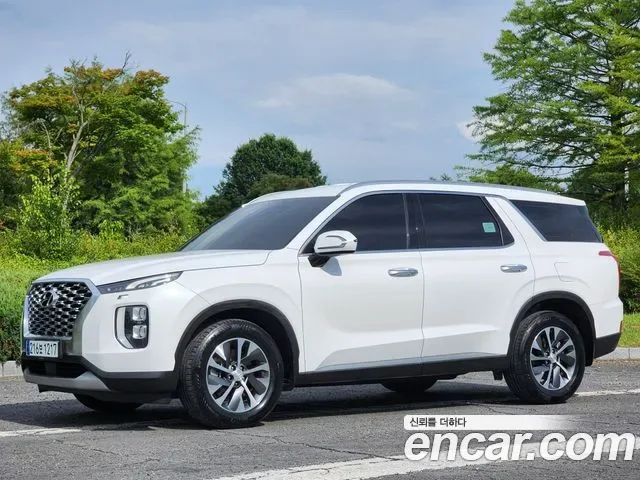 Hyundai Palisade, 2019 — фото 4