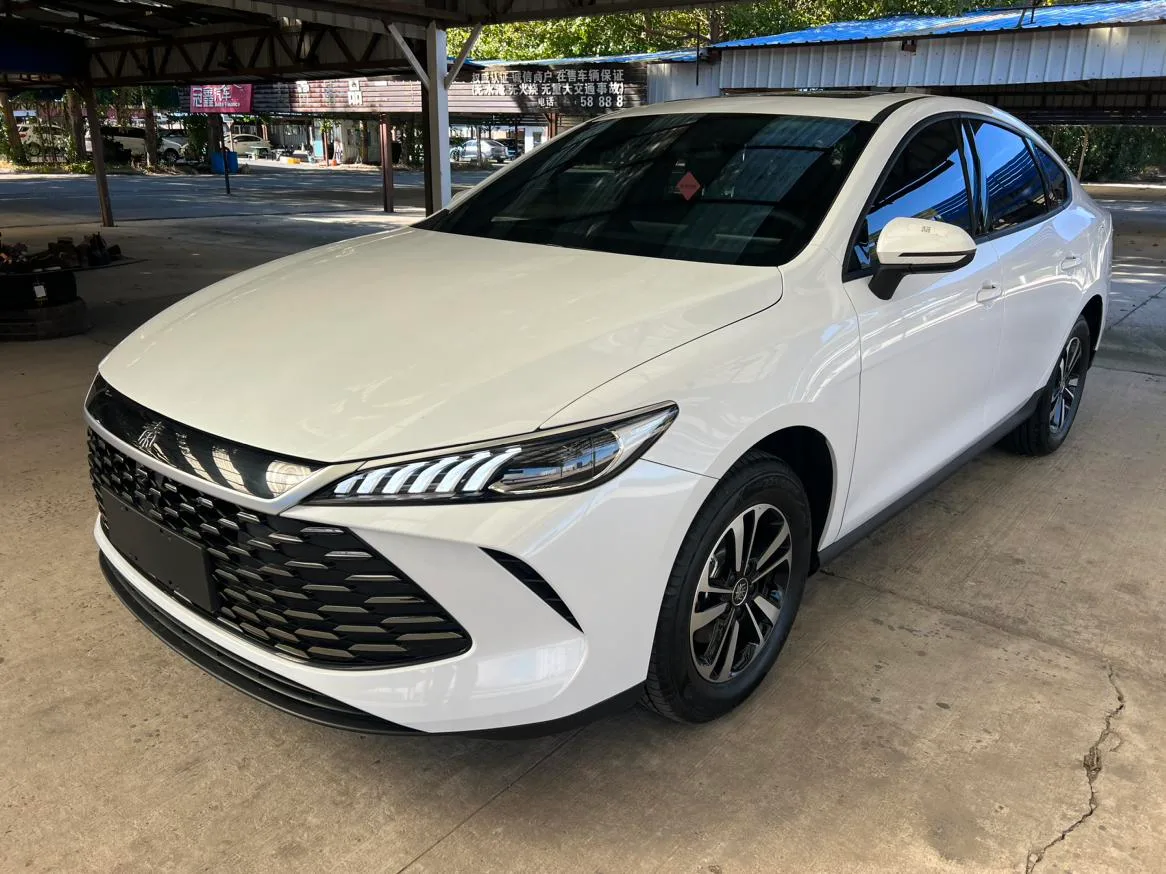 BYD Qin PLUS DM