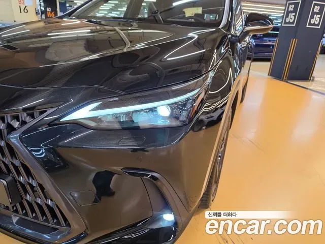 Lexus Nx NX350H, 2026 — фото 17
