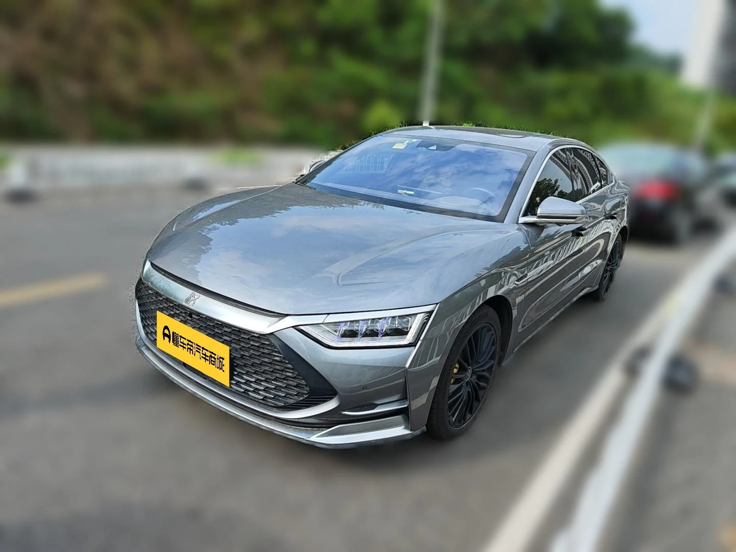 BYD Chinese DM